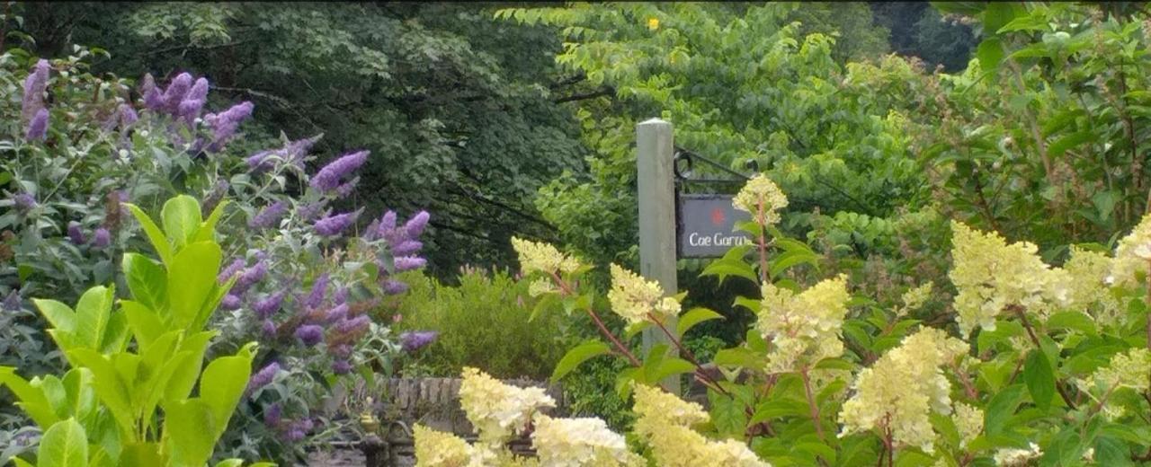 Cae Garw B&B Betws-y-Coed Buitenkant foto